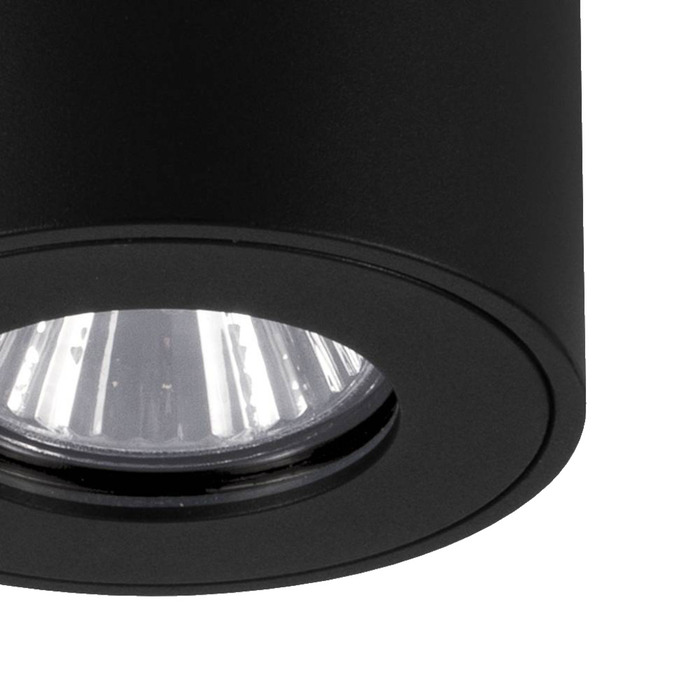 Eglo Torrecola loftlampe rund i sort - udendørs